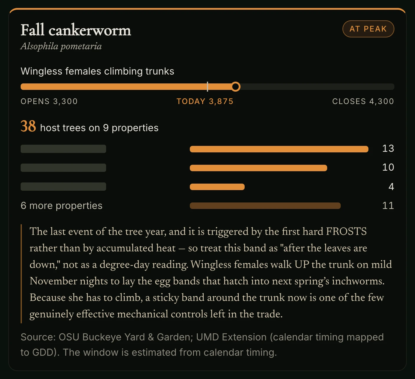 A pest card from the weekly brief: fall cankerworm at peak, today at 3,875 degree-days in a window that opens at 3,300 and closes at 4,300, with 38 host trees on 9 properties shown as bars by property with the property names covered, a note on banding trunks, and the source of the timing
