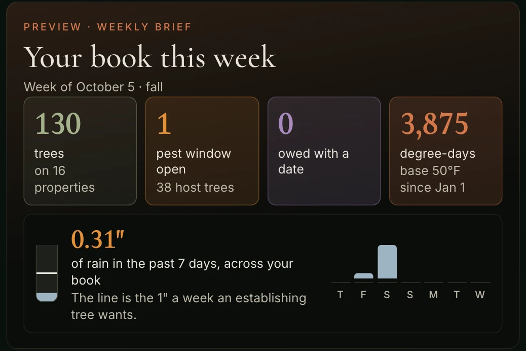 The top of the ArbKeep weekly brief: trees on the book, open pest windows, things owed with a date, degree-days, and a rain gauge for the past seven days