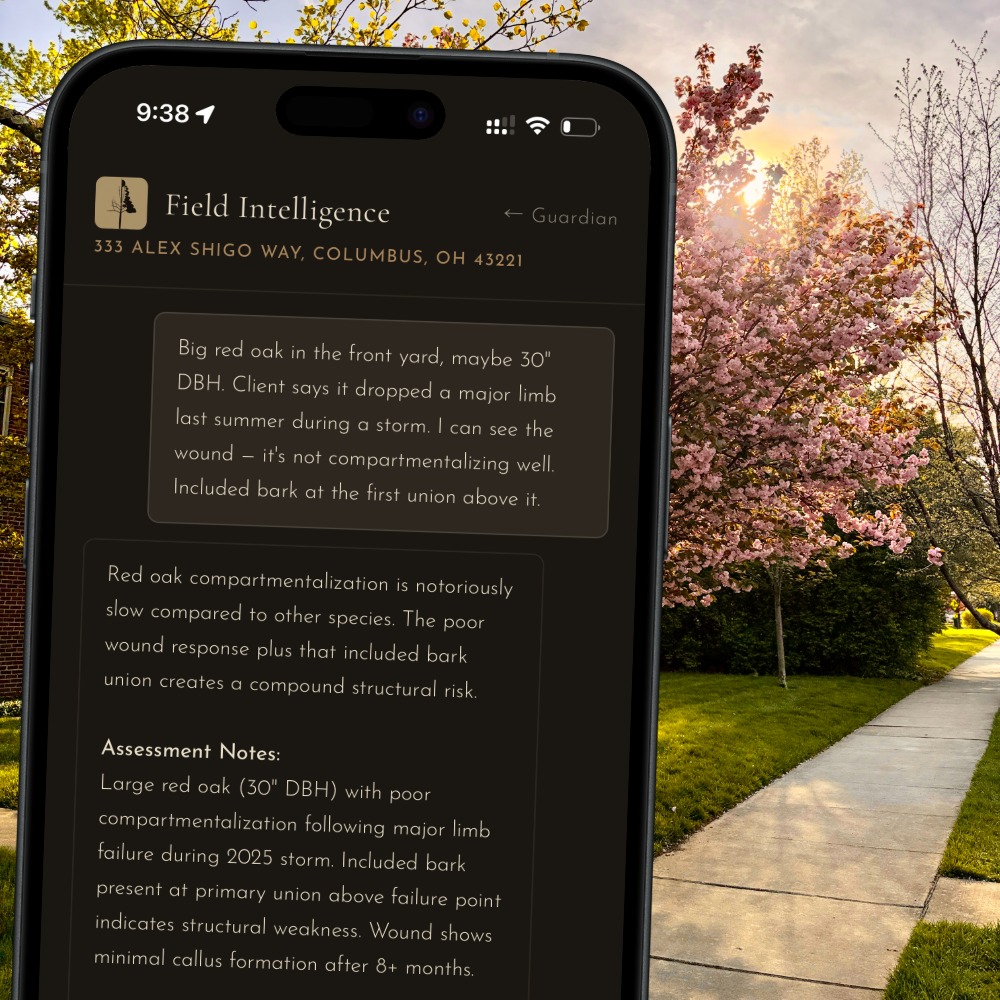 ArbKeep field intelligence on iPhone — a live assessment from the property
