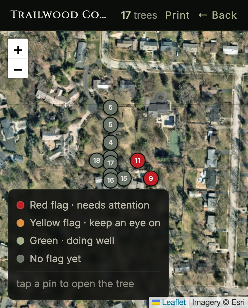 The homeowner's property map: seventeen trees numbered on the satellite view, flagged red, yellow or green, with a Print button