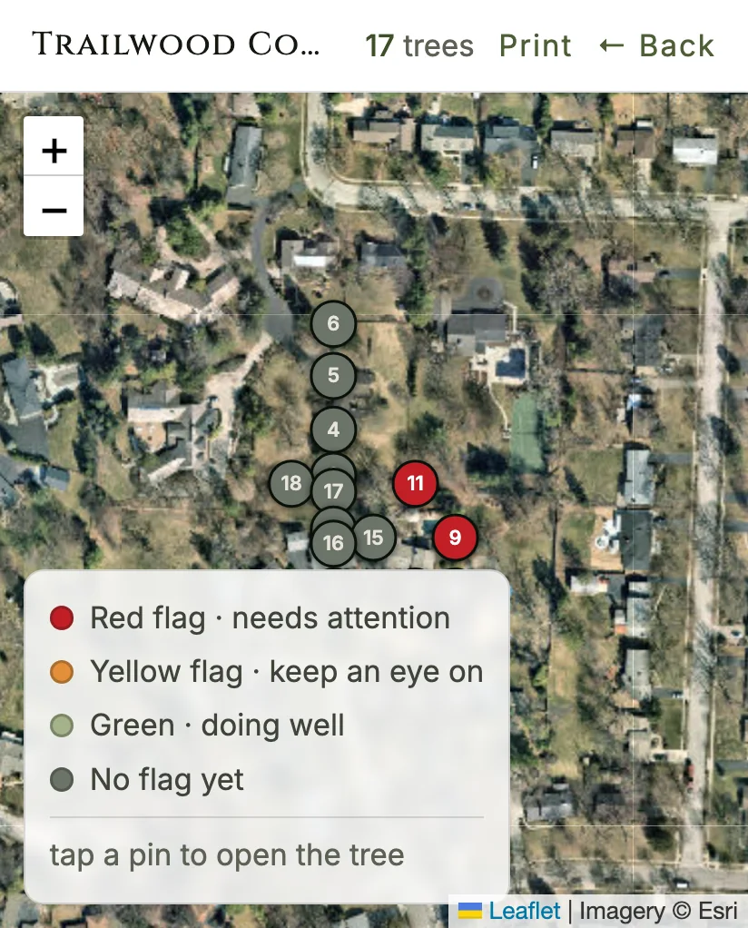 The homeowner's property map in sun mode