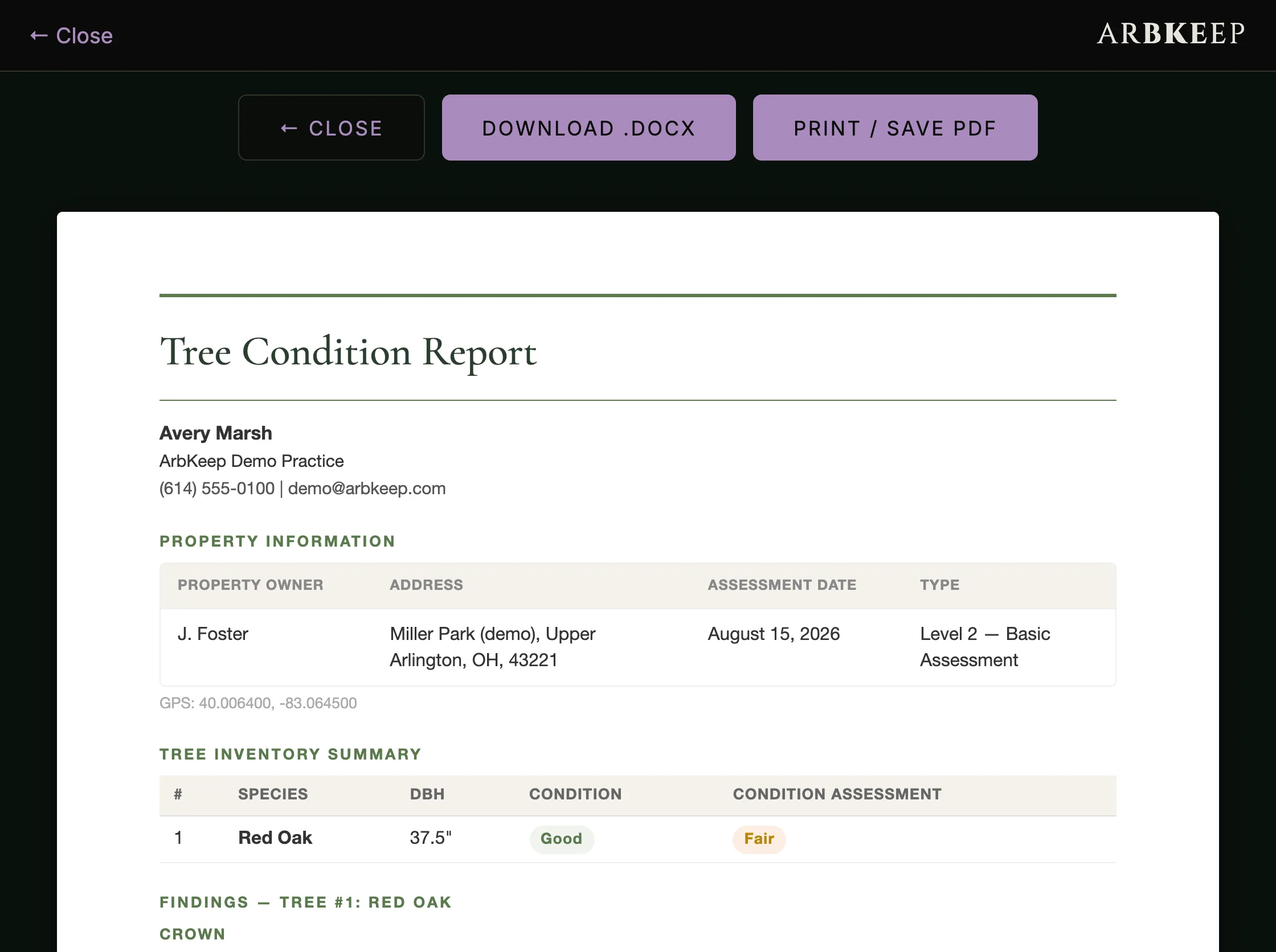 A finished Tree Condition Report, Level 2: the arborist's credentials, the property, the tree inventory, and buttons to download a .docx or save a PDF