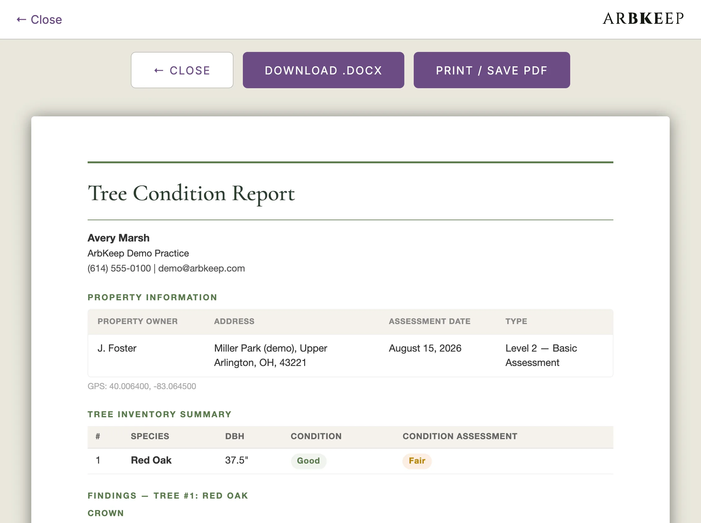 The same report in sun mode