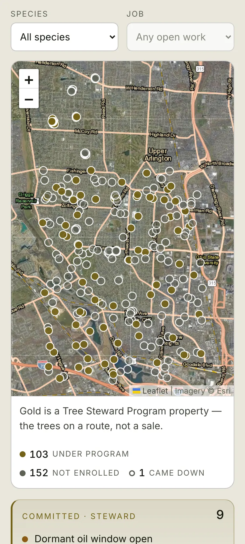 The phone map in sun mode