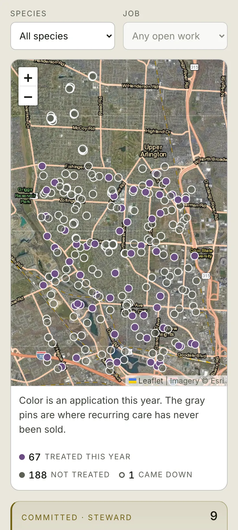 The same phone map in sun mode