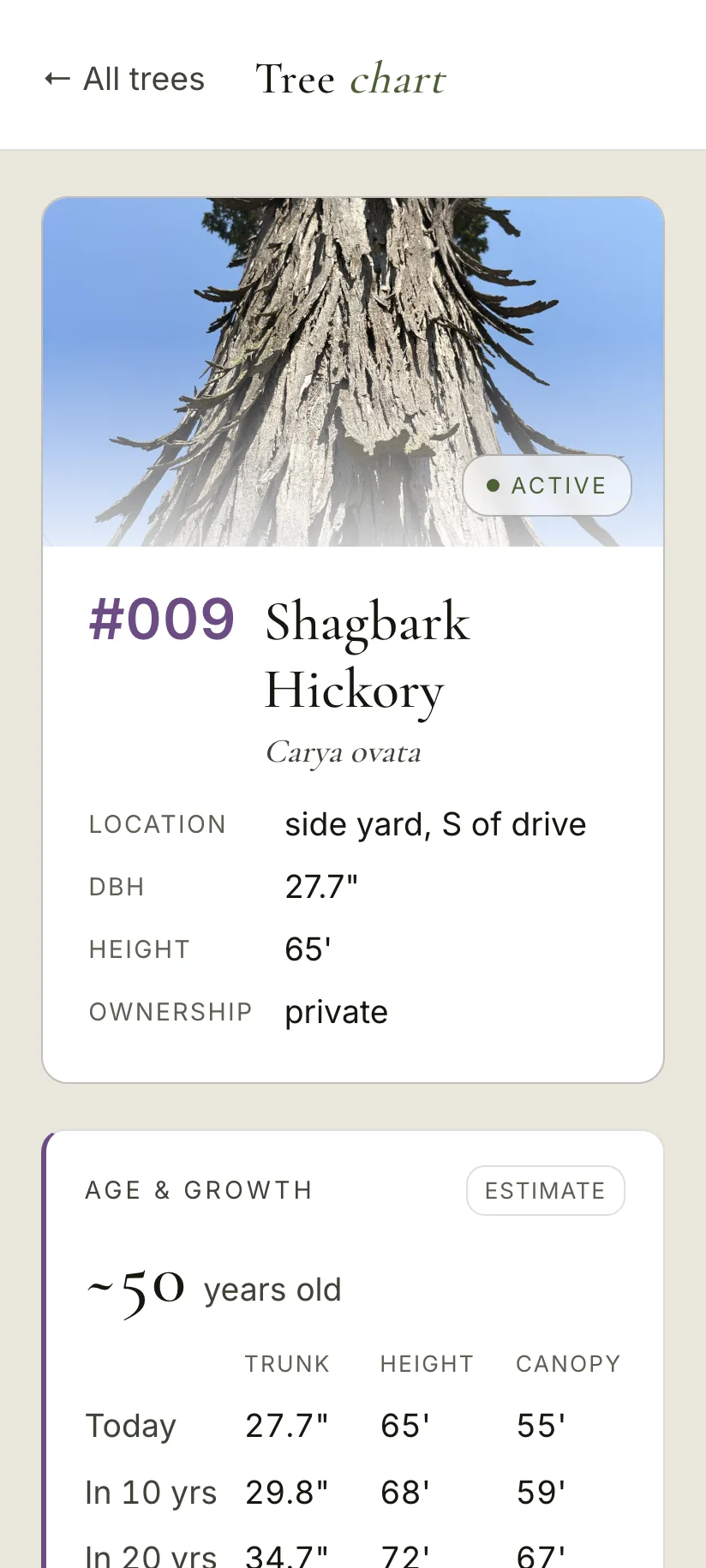 The hickory's chart in ArbKeep Home, in sun mode