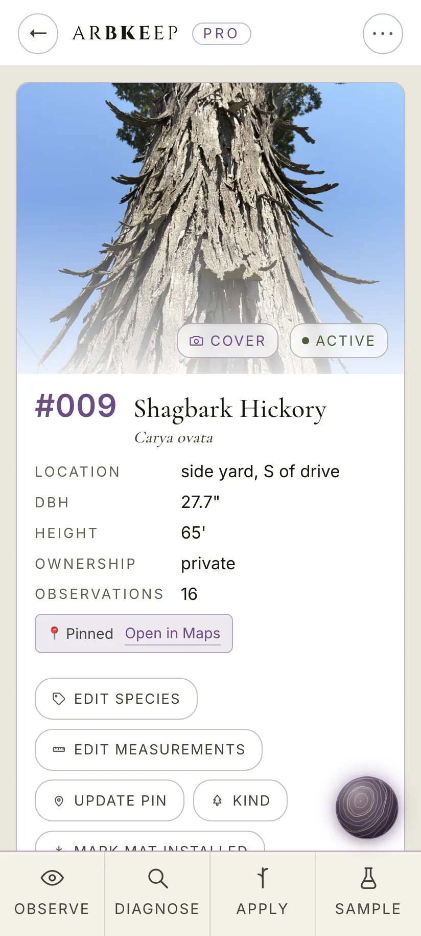 The hickory's chart in ArbKeep Pro, in sun mode