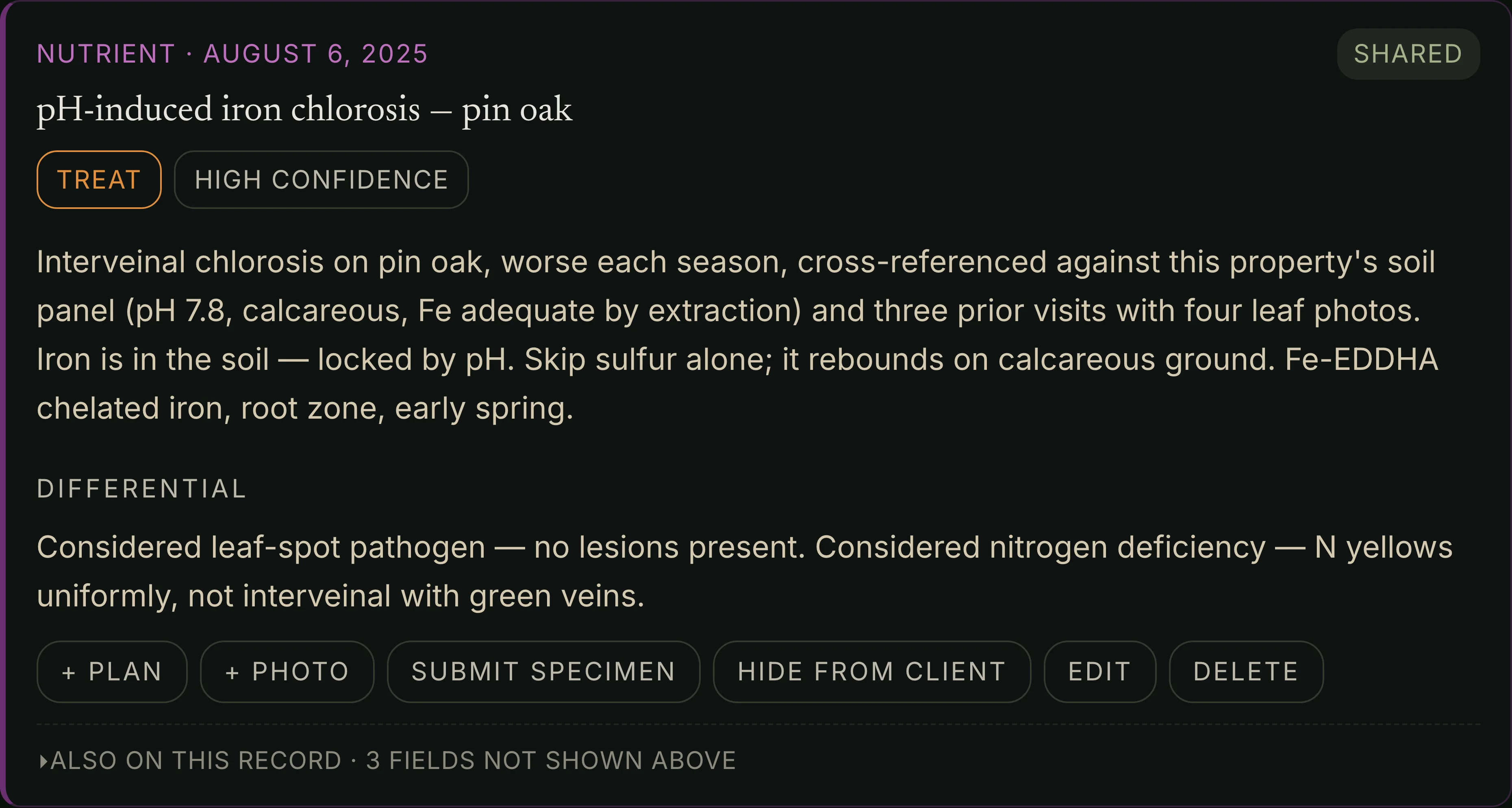 A drafted diagnosis on the record: pH-induced iron chlorosis on a pin oak, high confidence, with the differential and what was ruled out