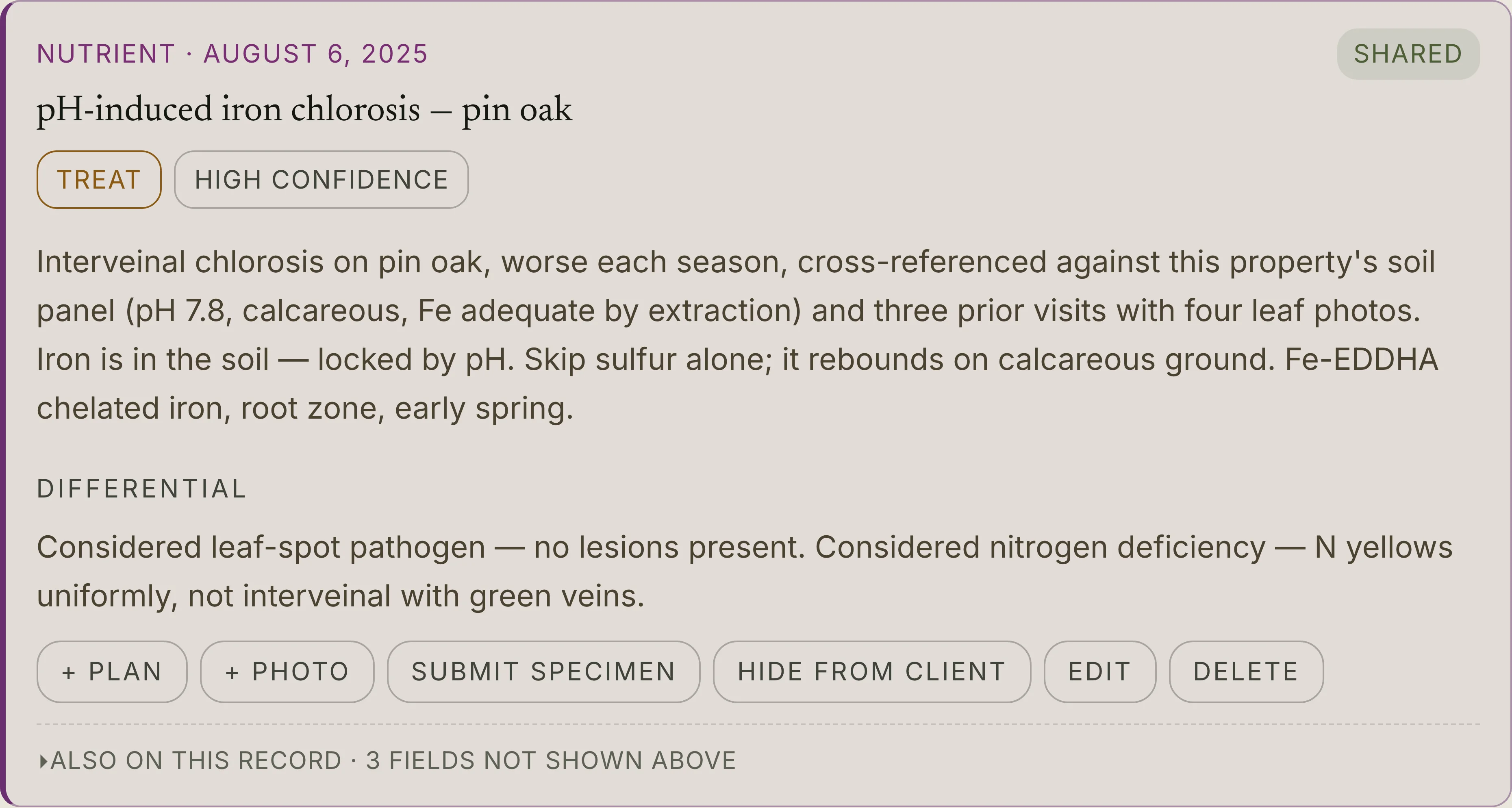 The same diagnosis card in sun mode