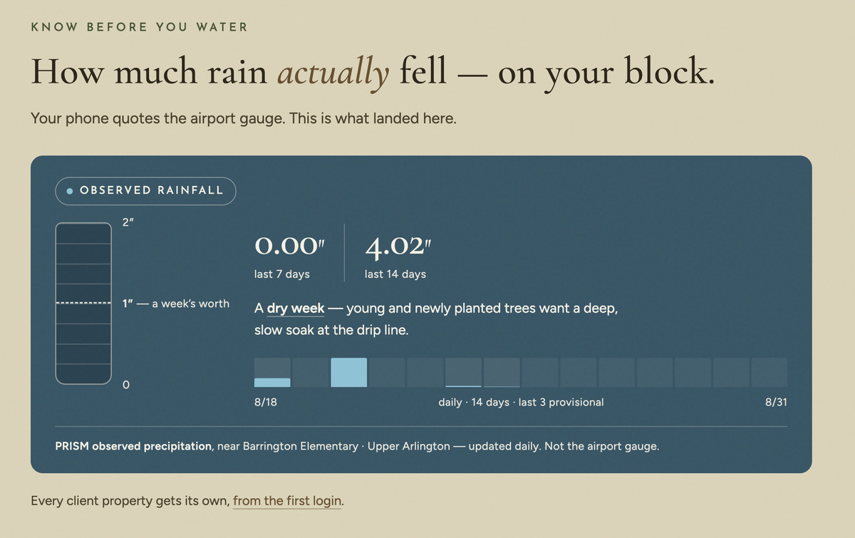The rainfall read on the Upper Arlington Tree Co. website — observed rainfall of 0.00 inches over the last 7 days and 4.02 inches over 14 days, a dry-week flag advising a deep slow soak at the drip line, and a 14-day daily bar strip, cited to PRISM observed precipitation